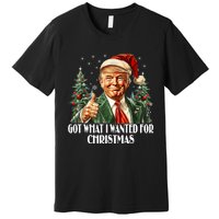 Got What I Wanted For Christmas Trump Xmas Pajamas 2024 Premium T-Shirt