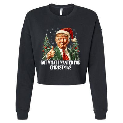 Got What I Wanted For Christmas Trump Xmas Pajamas 2024 Cropped Pullover Crew