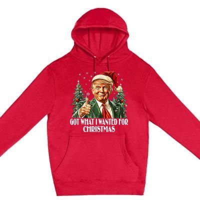 Got What I Wanted For Christmas Trump Xmas Pajamas 2024 Premium Pullover Hoodie