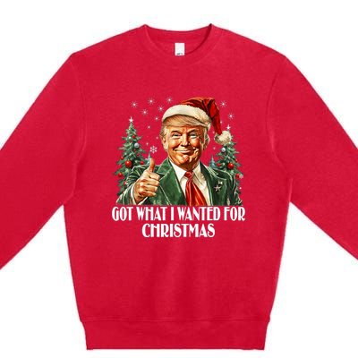 Got What I Wanted For Christmas Trump Xmas Pajamas 2024 Premium Crewneck Sweatshirt