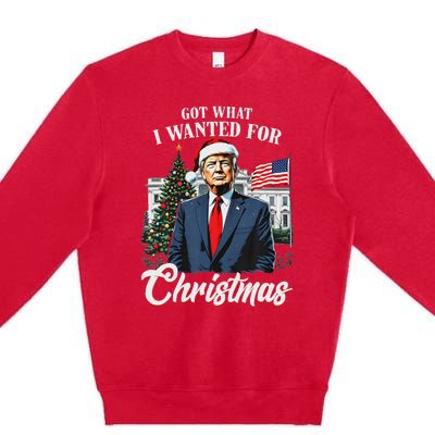 Got What I Wanted For Christmas Trump 2024 Premium Crewneck Sweatshirt