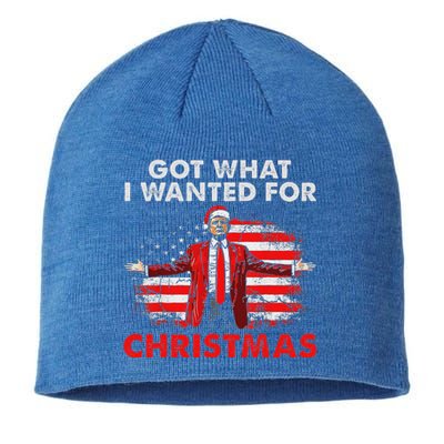 Got What I Wanted For Christmas Trump 2024 Sustainable Beanie