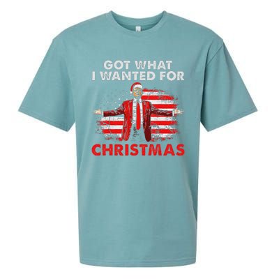 Got What I Wanted For Christmas Trump 2024 Sueded Cloud Jersey T-Shirt