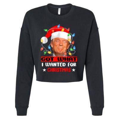 Got What I Wanted For Christmas Trump Xmas Pajamas 2024 Cropped Pullover Crew