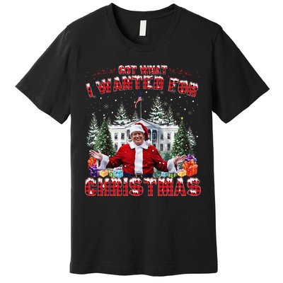 Got What I Wanted For Christmas Trump Won Trump President Premium T-Shirt