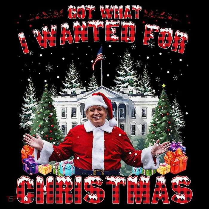 Got What I Wanted For Christmas Trump Won Trump President Tank Top