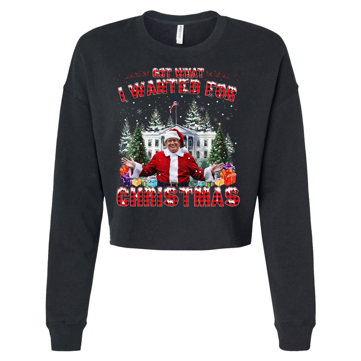 Got What I Wanted For Christmas Trump Won Trump President Cropped Pullover Crew