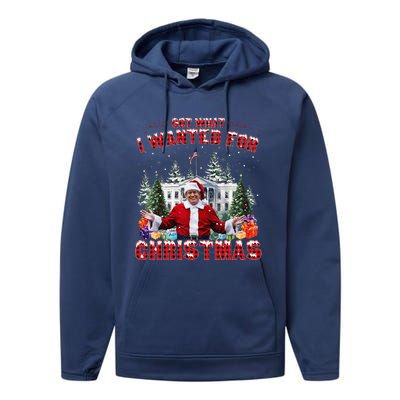 Got What I Wanted For Christmas Trump Won Trump President Performance Fleece Hoodie