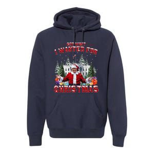 Got What I Wanted For Christmas Trump Won Trump President Premium Hoodie