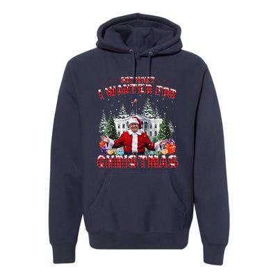 Got What I Wanted For Christmas Trump Won Trump President Premium Hoodie