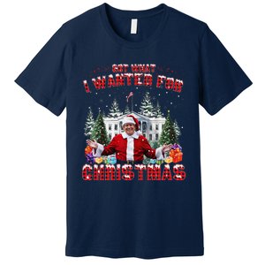 Got What I Wanted For Christmas Trump Won Trump President Premium T-Shirt