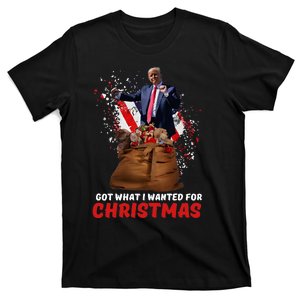 Got What I Wanted For Christmas Trump Won 2024 T-Shirt