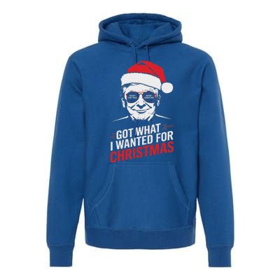 Got What I Wanted For Christmas Pajamas Premium Hoodie