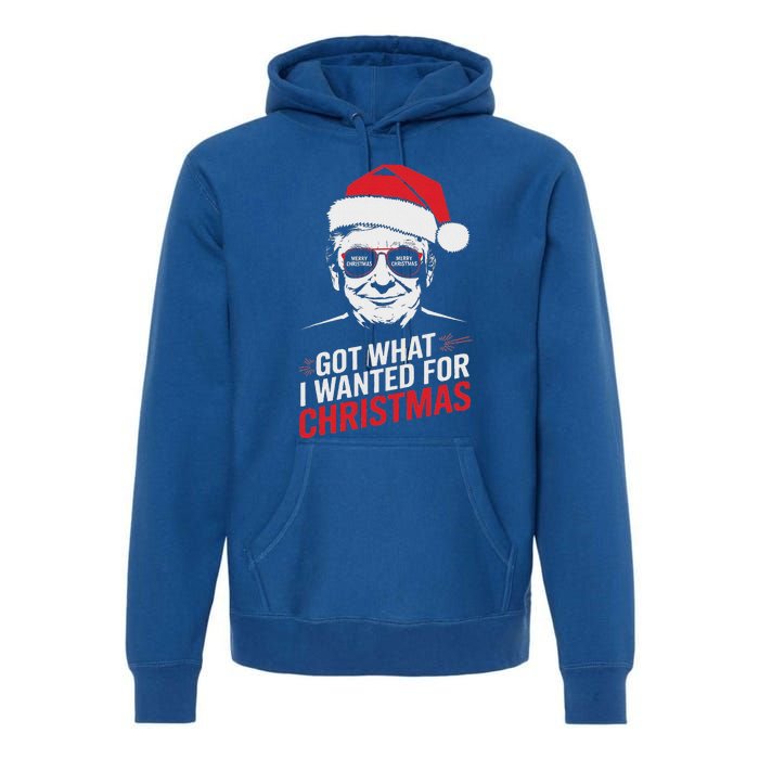 Got What I Wanted For Christmas Pajamas Premium Hoodie