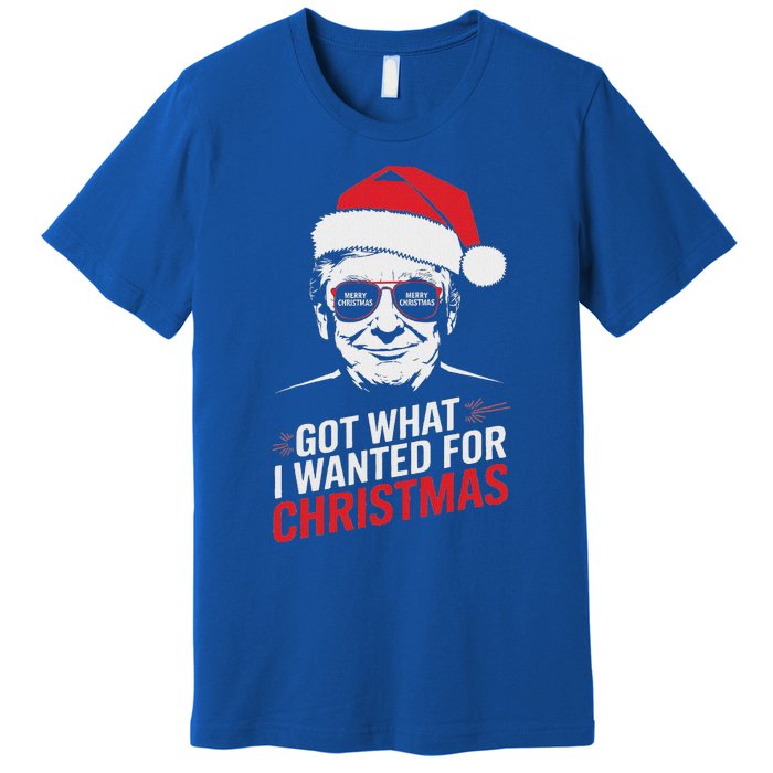 Got What I Wanted For Christmas Pajamas Premium T-Shirt