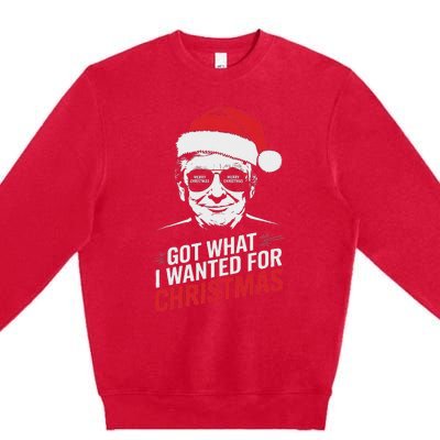 Got What I Wanted For Christmas Pajamas Premium Crewneck Sweatshirt