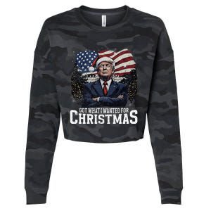 Got What I Wanted For Christmas Trump Won 2024 President Cropped Pullover Crew