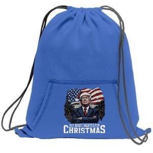 Got What I Wanted For Christmas Trump Won 2024 President Sweatshirt Cinch Pack Bag