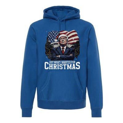 Got What I Wanted For Christmas Trump Won 2024 President Premium Hoodie