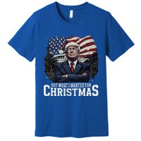 Got What I Wanted For Christmas Trump Won 2024 President Premium T-Shirt