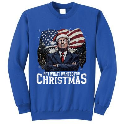 Got What I Wanted For Christmas Trump Won 2024 President Tall Sweatshirt