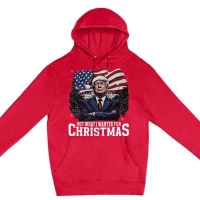 Got What I Wanted For Christmas Trump Won 2024 President Premium Pullover Hoodie