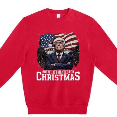 Got What I Wanted For Christmas Trump Won 2024 President Premium Crewneck Sweatshirt