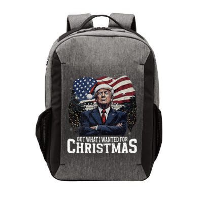 Got What I Wanted For Christmas Trump Won 2024 President Vector Backpack