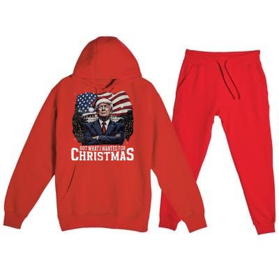 Got What I Wanted For Christmas Trump Won 2024 President Premium Hooded Sweatsuit Set