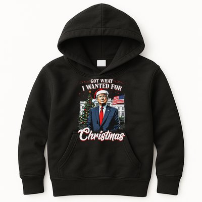 Got What I Wanted For Christmas Trump 2024 Kids Hoodie