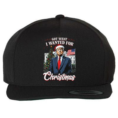 Got What I Wanted For Christmas Trump 2024 Wool Snapback Cap