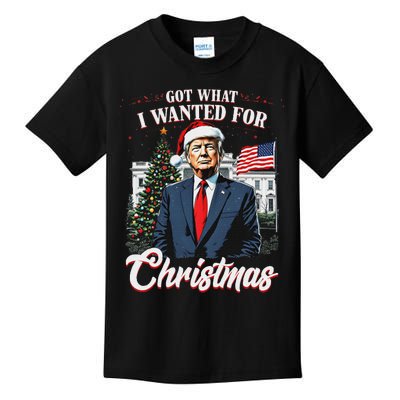 Got What I Wanted For Christmas Trump 2024 Kids T-Shirt