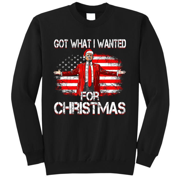 Got What I Wanted For Christmas Trump Won 2024 President Sweatshirt