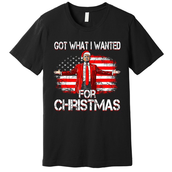 Got What I Wanted For Christmas Trump Won 2024 President Premium T-Shirt