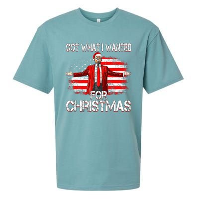 Got What I Wanted For Christmas Trump Won 2024 President Sueded Cloud Jersey T-Shirt