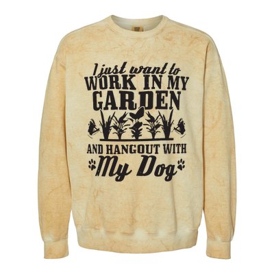 Gardening Work In Garden Hangout With Dog Gardener Gift Colorblast Crewneck Sweatshirt