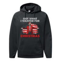 Got What I Wanted For Christmas Trump 2024 Santa Claus Performance Fleece Hoodie