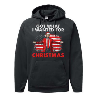 Got What I Wanted For Christmas Trump 2024 Santa Claus Performance Fleece Hoodie