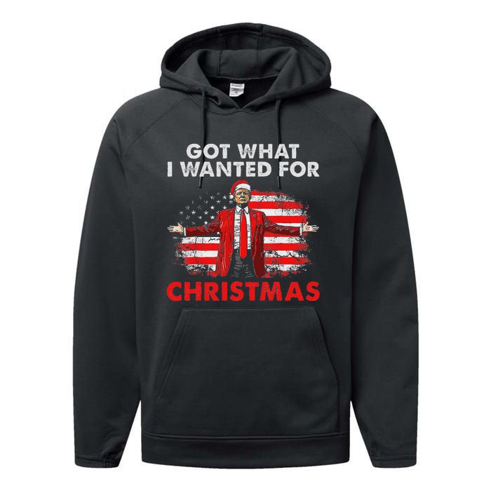 Got What I Wanted For Christmas Trump 2024 Santa Claus Performance Fleece Hoodie