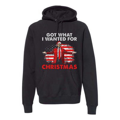 Got What I Wanted For Christmas Trump 2024 Santa Claus Premium Hoodie