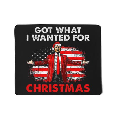 Got What I Wanted For Christmas Trump 2024 Santa Claus Mousepad