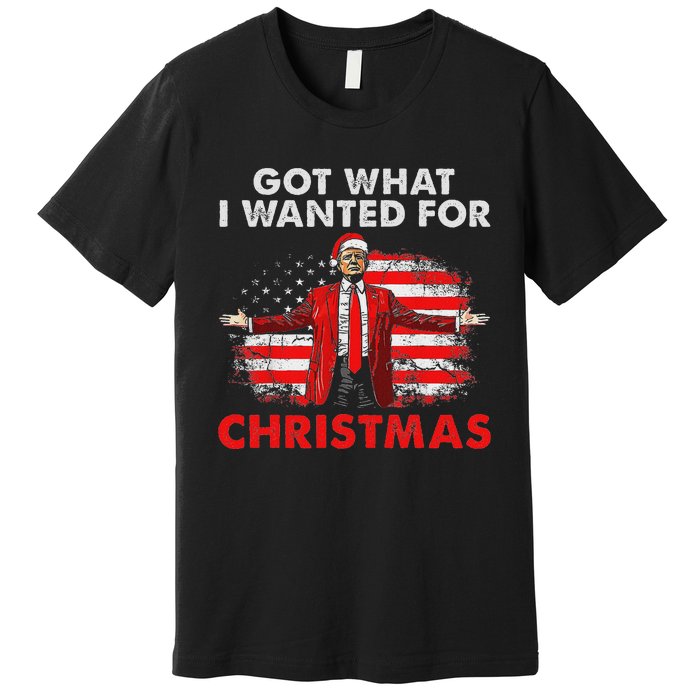 Got What I Wanted For Christmas Trump 2024 Santa Claus Premium T-Shirt