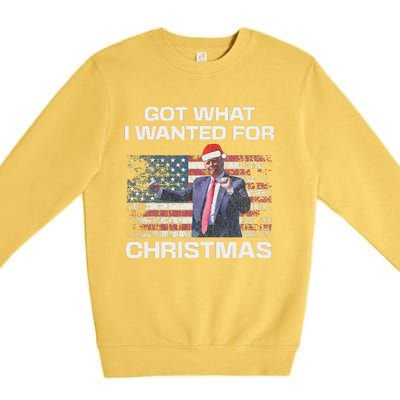 Got What I Wanted For Christmas Trump 2024 Won President Premium Crewneck Sweatshirt