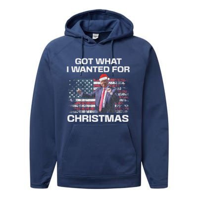 Got What I Wanted For Christmas Trump 2024 Won President Performance Fleece Hoodie