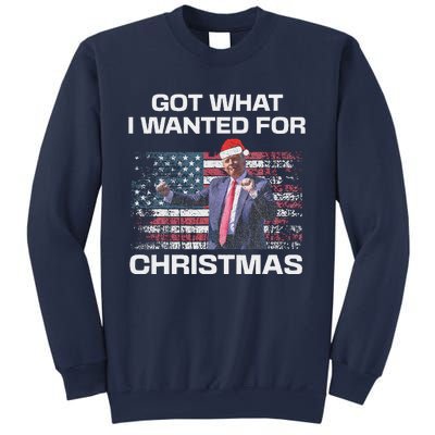 Got What I Wanted For Christmas Trump 2024 Won President Sweatshirt