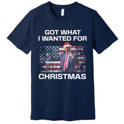 Got What I Wanted For Christmas Trump 2024 Won President Premium T-Shirt