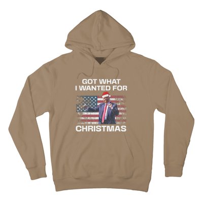 Got What I Wanted For Christmas Trump 2024 Won President Hoodie