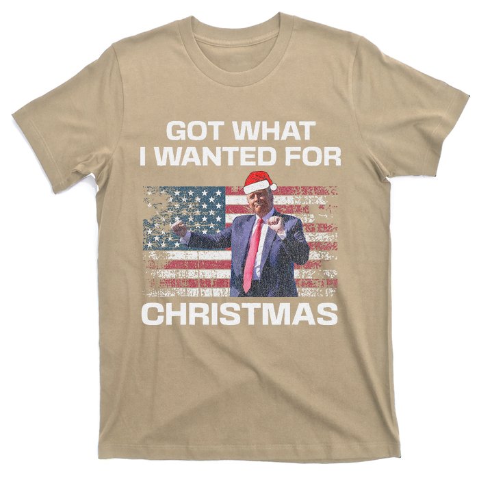 Got What I Wanted For Christmas Trump 2024 Won President T-Shirt