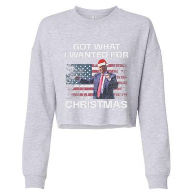 Got What I Wanted For Christmas Trump 2024 Won President Cropped Pullover Crew