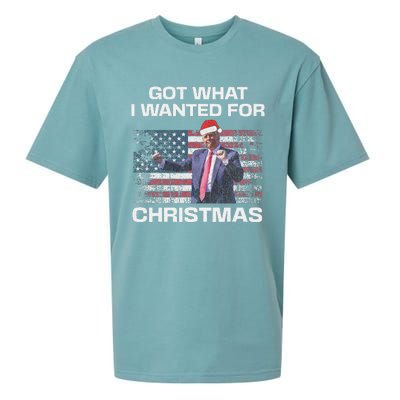 Got What I Wanted For Christmas Trump 2024 Won President Sueded Cloud Jersey T-Shirt